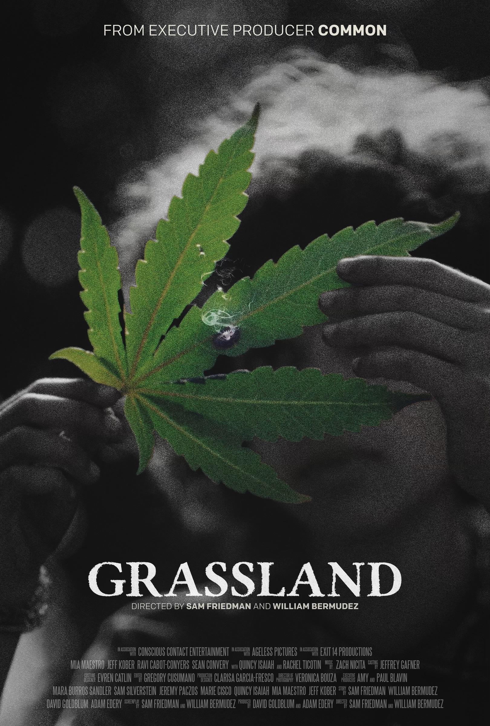 فيلم Grassland 2024 مترجم